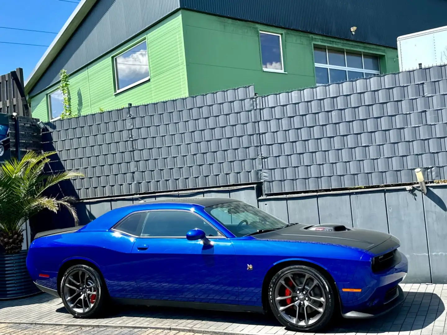 Dodge Challenger CHALLENGER 6,4 V8-SRT-SHAKER-392-HEMI-GARANTIE Mavi - 1