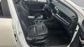 Kia Niro 1.6 GDi Hybrid ExecutiveLine / Stoel/stuurverwr. / Blanc - thumbnail 33