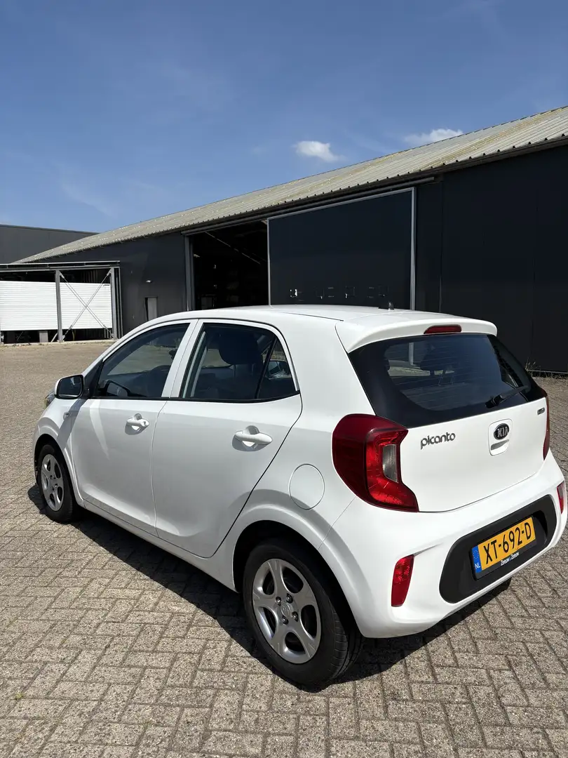 Kia Picanto 1.0 ISG Edition 7 Wit - 1