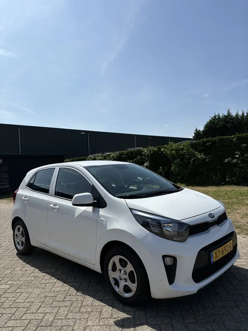 Kia Picanto 1.0 ISG Edition 7 Wit - 2