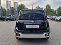 Fiat Panda Pandina Cross Hybrid 1.0 GSE *CarPlay*DAB*PDC* Black - thumbnail 4