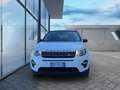 Land Rover Discovery Sport Discovery Sport 2.0 TD4 150 CV Pure Aut. Blanc - thumbnail 2