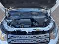 Land Rover Discovery Sport Discovery Sport 2.0 TD4 150 CV Pure Aut. Blanc - thumbnail 21