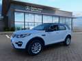 Land Rover Discovery Sport Discovery Sport 2.0 TD4 150 CV Pure Aut. Blanc - thumbnail 1