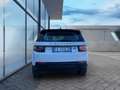 Land Rover Discovery Sport Discovery Sport 2.0 TD4 150 CV Pure Aut. Blanc - thumbnail 5