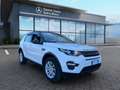 Land Rover Discovery Sport Discovery Sport 2.0 TD4 150 CV Pure Aut. Blanc - thumbnail 8