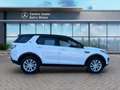Land Rover Discovery Sport Discovery Sport 2.0 TD4 150 CV Pure Aut. Blanc - thumbnail 7