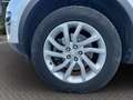 Land Rover Discovery Sport Discovery Sport 2.0 TD4 150 CV Pure Aut. Blanc - thumbnail 22