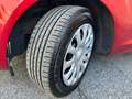Ford Fiesta 1.2 Benzina, Unico Proprietario, Frizione Nuova Rouge - thumbnail 12