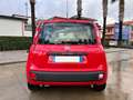 Fiat Panda 1.2 Easy 69cv Rosso - thumbnail 4