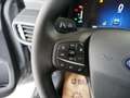 Ford Tourneo Courier 1,0 EcoBoost Active Grau - thumbnail 13
