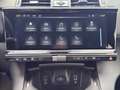DS Automobiles DS 7 BlueHDI 130 Aut. OPERA LEDER Panoramadach Schwarz - thumbnail 24