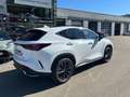 Lexus NX 350h F-Sport 4x4 HUD AD El. Panodach Navi Memory Sitze Weiß - thumbnail 4