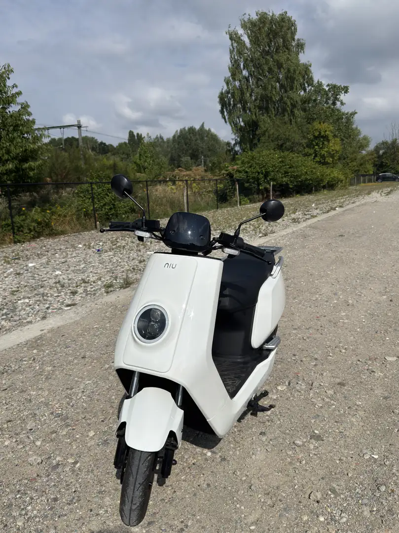 Niu N1S 1320km comme neuf Alb - 1