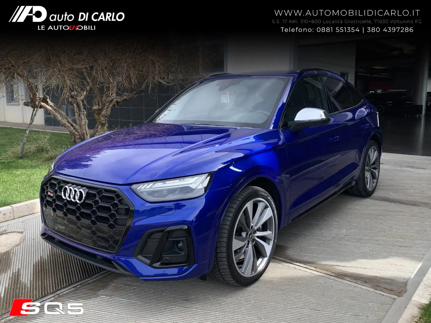 Audi Q5 SQ5 SPB TDI quattro tiptronic sport attitude Blu/Azzurro - 1