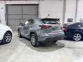 Lexus NX 300 300h Eco 2WD Gris - thumbnail 3