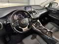 Lexus NX 300 300h Eco 2WD Gris - thumbnail 13