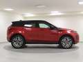 Land Rover Range Rover Evoque 2.0D I4 MHEV SE AWD Aut. 163 Burdeos - thumbnail 6