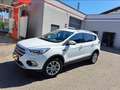Ford Kuga 1,5 TDCi Titanium Start/Stop Weiß - thumbnail 1