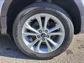 Ford Kuga 1,5 TDCi Titanium Start/Stop Weiß - thumbnail 2