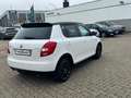 Skoda Fabia Fabia II  1.2 TSI MONTE CARLO - thumbnail 5