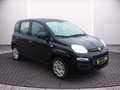 Fiat Panda 1,2 Easy 70 Schwarz - thumbnail 17