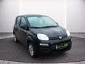 Fiat Panda 1,2 Easy 70 Negro - thumbnail 18