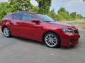 Lexus CT 200h CT 200h Dynamic Line Rot - thumbnail 5