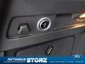 Ford Focus Turnier Titanium|AHK|WINTER-PAKET|BUSINESS-PAKET 1 Grau - thumbnail 24