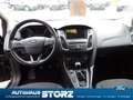 Ford Focus Turnier Titanium|AHK|WINTER-PAKET|BUSINESS-PAKET 1 Grau - thumbnail 11