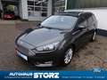 Ford Focus Turnier Titanium|AHK|WINTER-PAKET|BUSINESS-PAKET 1 Grau - thumbnail 2