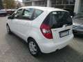 Mercedes-Benz A 160 Classe A 1.5 benz 70 kw Elegance per Neopatentati Bianco - thumbnail 3
