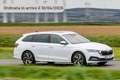 Skoda Octavia 2.0 TDI 115 CV Wagon Sportline Argento - thumbnail 1