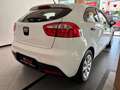 Kia Rio 5p 1.2 LX- GPL Bianco - thumbnail 5