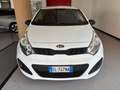 Kia Rio 5p 1.2 LX- GPL Bianco - thumbnail 2