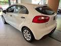 Kia Rio 5p 1.2 LX- GPL Bianco - thumbnail 6