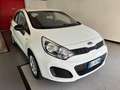 Kia Rio 5p 1.2 LX- GPL Bianco - thumbnail 3