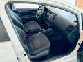 Kia Rio 5p 1.2 LX- GPL Bianco - thumbnail 4