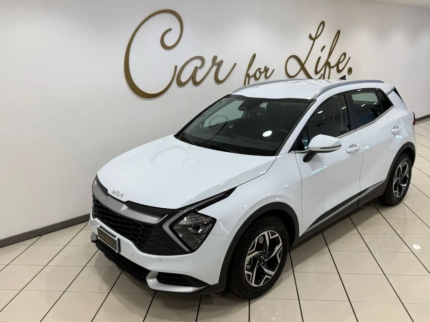 Kia Sportage Sportage V 2022 1.6 crdi mhev Business dct Bianco - 2