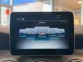 Mercedes-Benz GLA 220 4M Prog. 7G-DCT RFK LED SHZ IHC Panorama Grau - thumbnail 20