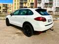 Porsche Cayenne Diesel 245 Aut. Blanco - thumbnail 6