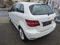 Mercedes-Benz B 150 Autom-Klima-Sitzheizung-erst 75.000 KM-eFH aktiver Biały - thumbnail 4