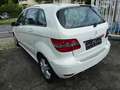 Mercedes-Benz B 150 Autom-Klima-Sitzheizung-erst 75.000 KM-eFH aktiver Blanc - thumbnail 4