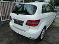 Mercedes-Benz B 150 Autom-Klima-Sitzheizung-erst 75.000 KM-eFH aktiver Blanc - thumbnail 5