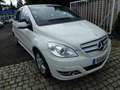 Mercedes-Benz B 150 Autom-Klima-Sitzheizung-erst 75.000 KM-eFH aktiver Blanc - thumbnail 2