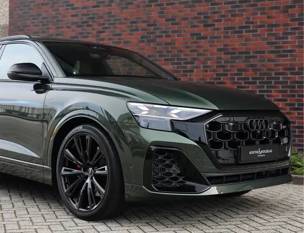 Audi Q8 view 18