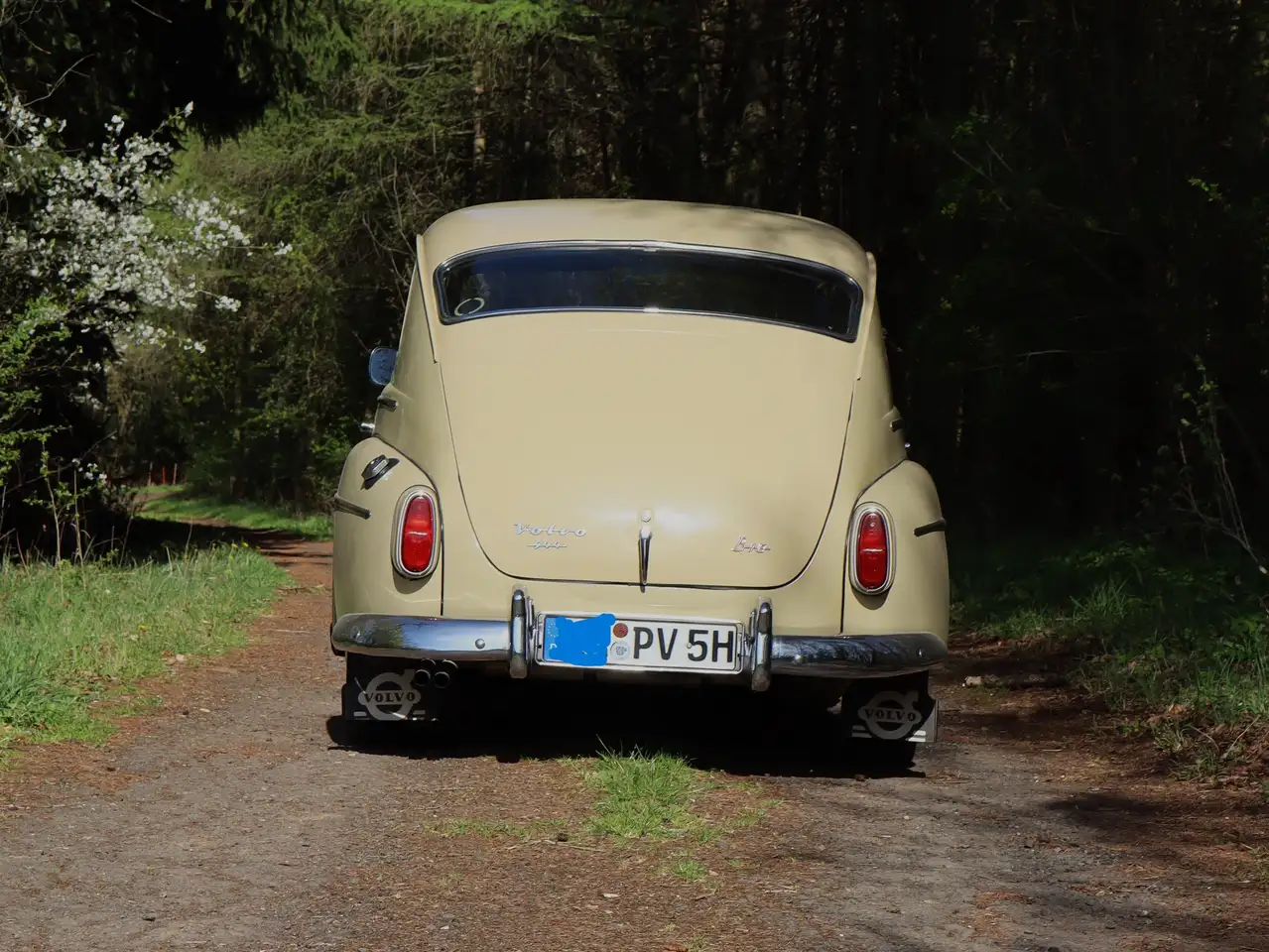Volvo PV544 B18 Sport, foto 10
