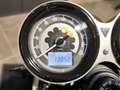 Triumph Speed Twin Weiß - thumbnail 2