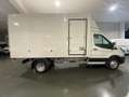 Ford Transit FT 350 Chasis Cabina 2.0 EcoBlue L2 Trend RWD 170 Bianco - thumbnail 4