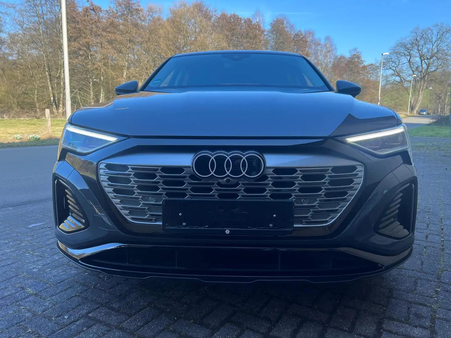 Audi Q8 e-tron Q8 e-tron 50 quattro S line S line Gris - 1